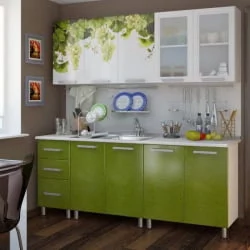 Маленькая кухня 2,0 м Люкс Лоза