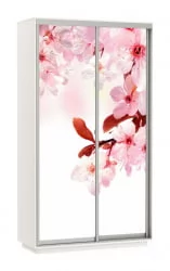 Шкаф-купе двухдверный Экспресс Хит Сакура/Белый снег