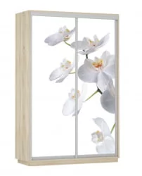 Шкаф-купе двухдверный Экспресс Дуо 1600х2400h Белая орхидея/Дуб сонома