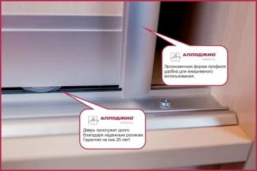 Шкаф-купе эконом Хит-23-12-55 Ясень шимо темный