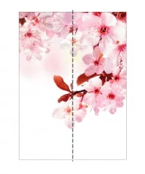 Шкаф-купе двухдверный Экспресс Хит Сакура/Венге