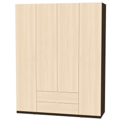 Шкаф распашный R-230х180х45-2-TR(Венге-ДМ)