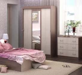 Шкаф-купе эконом Басса ШКК 551 Ясень шимо/дуб сонома