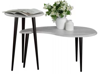 Стол журнальный BeautyStyle 2 Дуб дымчатый/венге