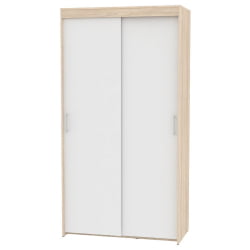 Шкаф-купе T-1-230х120х45(ДСС-Белый-2)