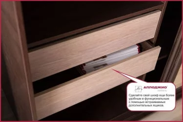 Двустворчатый гардеробный шкаф Хит-24-14-11 Ясень шимо темный