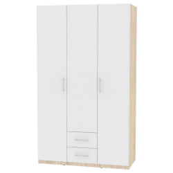 Шкаф распашный R-230х135х45-2(ДСС-Белый)