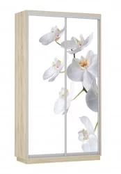 Шкаф-купе двухдверный Экспресс Дуо 1200х2200h Орхидея белая/Дуб сонома