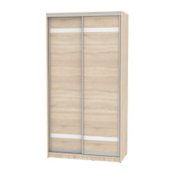 Детский шкафы-купе B-220х120х60-3(ДСС-D9D9)