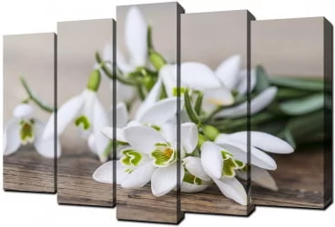 Модульная картина Toplight хсм TL-PM0011