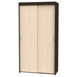 Шкаф-купе Т-1-230х120х45(Венге-ДМ-2) / T-1-230х120х45(Венге-ДМ-2)