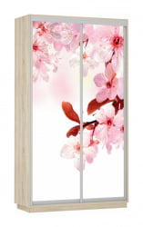 Шкаф-купе двухдверный Экспресс Дуо 1200х2200х Сакура/Дуб сонома / 1200х2200h