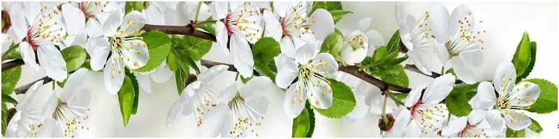 Глянцевый фартук (МДФ) AG 05