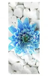 Распашной шкаф в гостиную Хоп Шелф Арт Беленый дуб