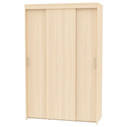 Шкаф-купе T-3-230х145х60(ДМ-3)