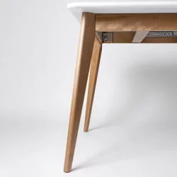 Стол обеденный Пегас Plus 160x95 Дуб золотой