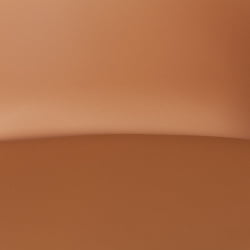 Стул со спинкой TULIP (mod. 73-1) дерево/пластик/экокожа, 47,5x55x80 см, Бежевый (Latte)