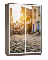 Шкаф-купе двухдверный Экспресс Дуо 1600х2200h Улица/Венге