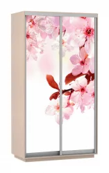 Шкаф-купе двухдверный Экспресс Дуо 1200х2400h Сакура/Дуб молочный