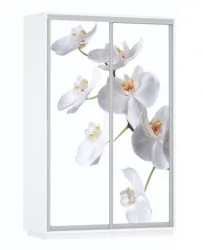 Шкаф-купе двухдверный Экспресс Дуо 1600х2400х Белая орхидея/Белый снег / 1600х2400h