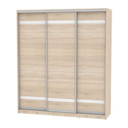 Шкаф-купе B-230х200х60-2(ДСС-D9D9D9)