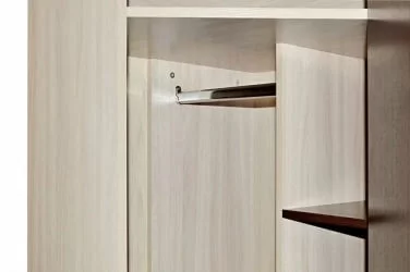 Угловой шкаф в прихожую Ольга 9.1 Ясень шимо светлый Венге