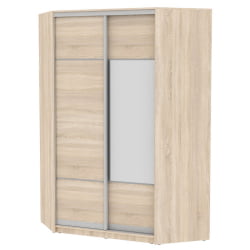 Шкаф-купе ЙА-230х1400-718-1(ДСС-Д4Д3) / YA-230х1400-718-1(ДСС-D4D3)