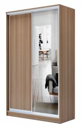 Шкаф-купе эконом Хит-23-12-15 Ясень шимо темный