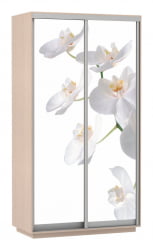 Шкаф-купе двухдверный Экспресс Дуо 1200х2400h Орхидея белая/Дуб молочный
