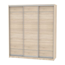 Шкаф-купе B-220х200х60-2(ДСС-D7D7D7)