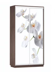 Шкаф-купе двухдверный Экспресс Дуо 1200х2400h Орхидея белая/Венге