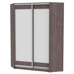 Шкаф-купе YA-198х1250-1(ЯАТ-D2D2)