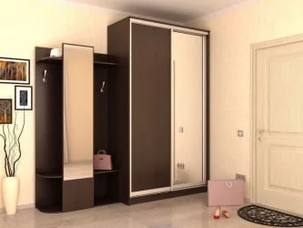 Двустворчатый гардеробный шкаф Хит-23-14-15 Аруба Венге