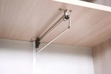 Двустворчатый гардеробный шкаф Ольга 10.1 Ясень шимо светлый Венге