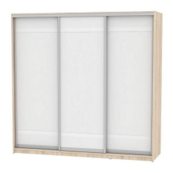 Шкаф-купе B-230х235х60-3(ДСС-Белый-D9D9D9)