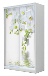 Шкаф-купе Хит-23-17-77 Орхидея Белая шагрень