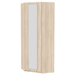 Шкаф распашный ЙР-230х884-ТР-М(ДСС-2) / YR-230х884-TR-M(ДСС-2)