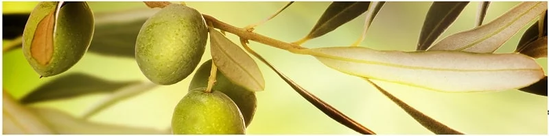 Глянцевый фартук (МДФ) AG 18_0