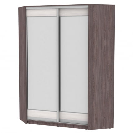 Шкаф-купе YA-198х1250-1(ЯАТ-ЯАС-D2D2)_0