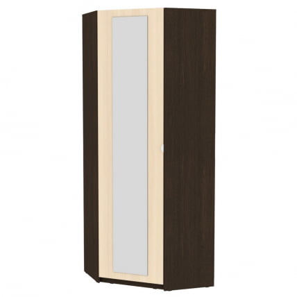 Шкаф распашный ЙР-230х884-ТР-М(Венге-ДМ-2) / YR-230х884-TR-M(Венге-ДМ-2)_0