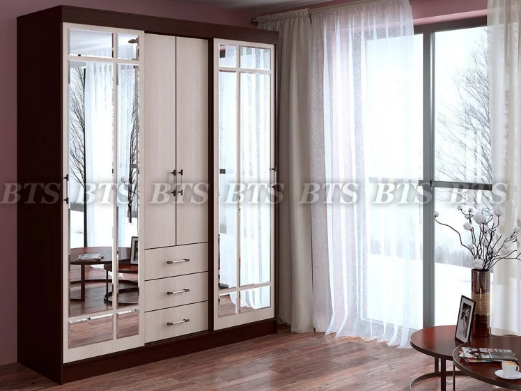 Шкаф купе Маэстро_0