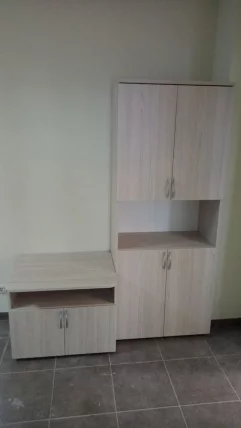 Шкаф высокий закрытый с нишей Glassy 6.19.111 Туя_4