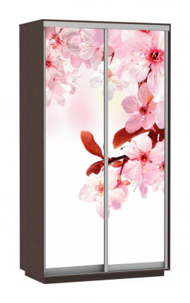Шкаф-купе двухдверный Экспресс Хит Сакура/Венге_0