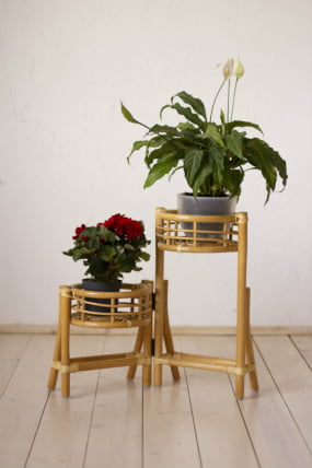 Цветочница 15/25 мед_1