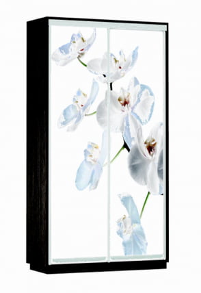 Шкаф-купе двухдверный Экспресс Хит Орхидея белая/Венге_0