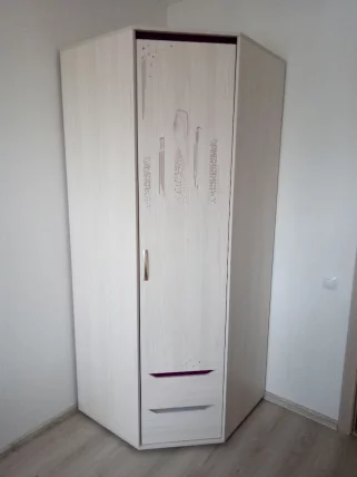 Шкаф для одежды угловой (правый) Мегаполис 55.03 Сосна Астрид_12