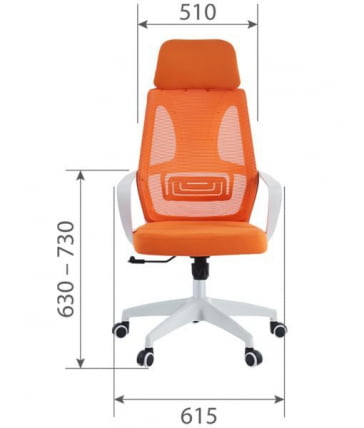 Кресло руководителя CХАИРМАН CХ636 ткань/сетка голубой, белый пластик (М) / CHAIRMAN CH636 (M)_3