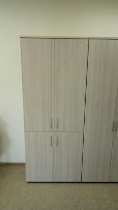 Шкаф высокий закрытый Glassy 6.19.131 Туя_3