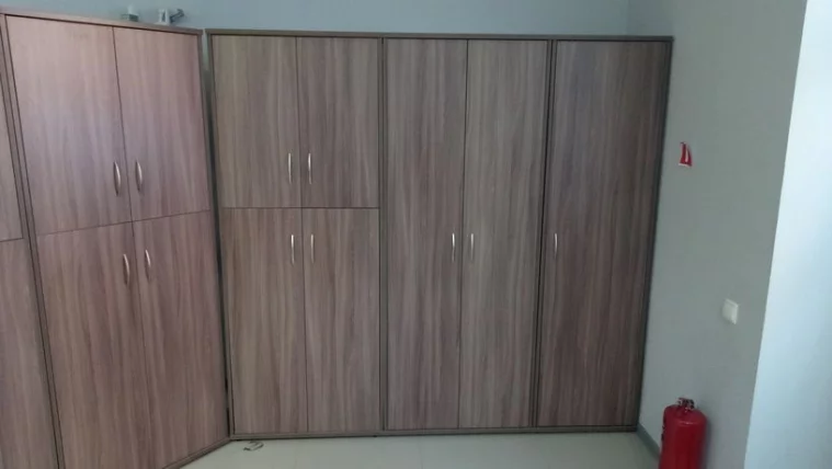 Гардероб ГБ-2 Ясень Шимо_2