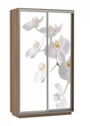Шкаф-купе двухдверный Экспресс Дуо 1200х2400h Орхидея белая/Ясень шимо тёмный_0